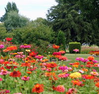 Alma Park - Yamba Accommodation