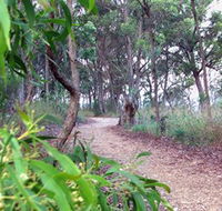 Mount Mutton Walking Trail - Yamba Accommodation