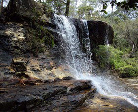 Spirit Safaris - Yamba Accommodation 1
