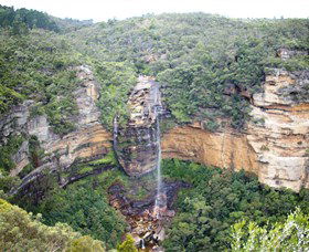 Spirit Safaris - Yamba Accommodation 2