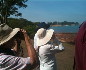 Follow That Bird - Yamba Accommodation 0