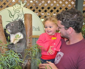 Blue Diamond Tours - Yamba Accommodation 0