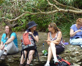 Dingo Tours - Yamba Accommodation 1