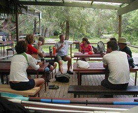 Dingo Tours - Yamba Accommodation 5