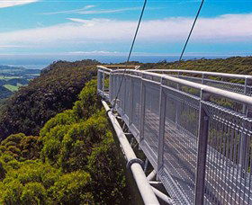 Dingo Tours - Yamba Accommodation 4