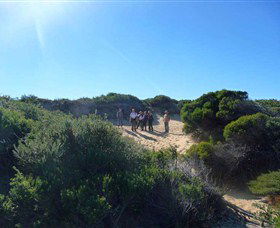 Dingo Tours - Yamba Accommodation 7