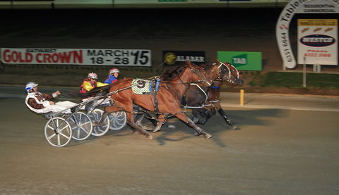 Bathurst Harness Racing Club - Yamba Accommodation 3