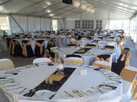 Bathurst Harness Racing Club - Yamba Accommodation 5