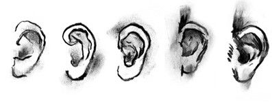 DAB LAB Research Gallery - Yamba Accommodation 0