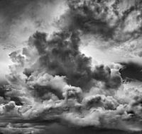 Annandale Galleries - Yamba Accommodation