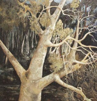 Huntleys Point NSW Yamba Accommodation