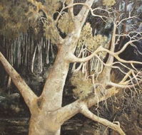 Ku-Ring-Gai Art Centre  Gallery - Yamba Accommodation