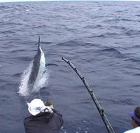 Amokura Charters - Yamba Accommodation