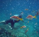 Imagine Cruises - Yamba Accommodation