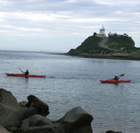 Newcastle Kayak Tours - Yamba Accommodation