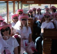 Newcastles Famous Tram - Yamba Accommodation