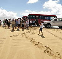 Port Stephens 4WD Tours - Yamba Accommodation