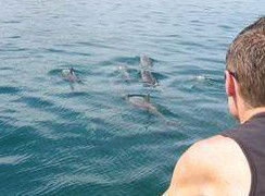 Tex Tours - Yamba Accommodation 3