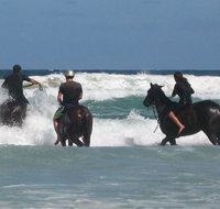 Pegasus Park Equestrian Centre - Yamba Accommodation