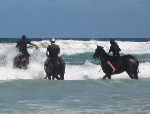 Pegasus Park Equestrian Centre - Yamba Accommodation 0