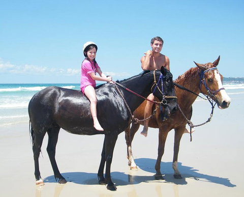 Pegasus Park Equestrian Centre - Yamba Accommodation 1
