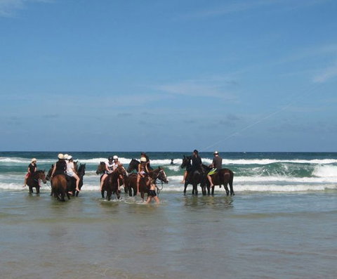 Pegasus Park Equestrian Centre - Yamba Accommodation 2