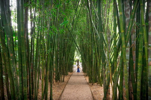 Crystal Castle & Shambhala Gardens - Yamba Accommodation 1