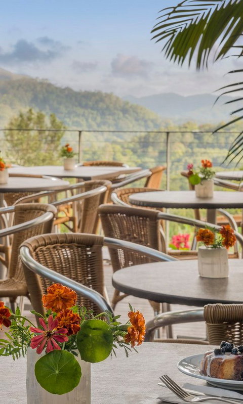 Crystal Castle & Shambhala Gardens - Yamba Accommodation 2