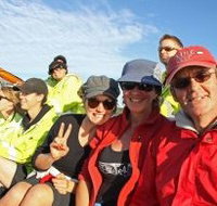 Byron Bay Whale Watching - Yamba Accommodation