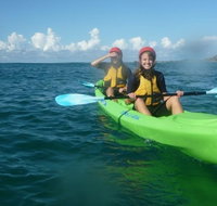 Cape Byron Kayaks - Yamba Accommodation