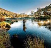 Fly Fishing Tumut - Yamba Accommodation
