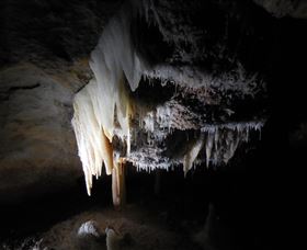 Country Charmâ„¢ Discovery Tours - Yamba Accommodation 1