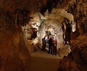 Country Charmâ„¢ Discovery Tours - Yamba Accommodation 3