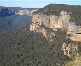 Country Charmâ„¢ Discovery Tours - Yamba Accommodation 4