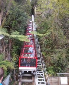 Country Charmâ„¢ Discovery Tours - Yamba Accommodation 6