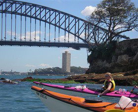 Natural Wanders - Yamba Accommodation 3