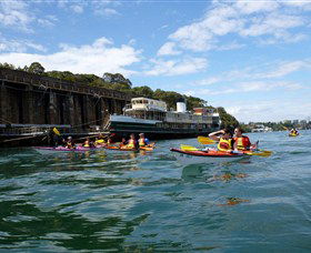 Natural Wanders - Yamba Accommodation 5