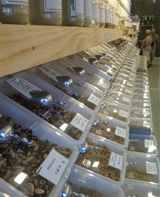 The Source Bulk Foods - Yamba Accommodation 2