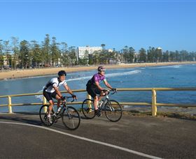 Global Cycle Rides - Yamba Accommodation 1