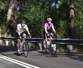 Global Cycle Rides - Yamba Accommodation 2