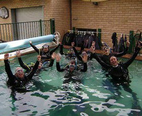 Dive Centre Manly - Yamba Accommodation 1
