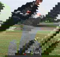 Segway Tours Australia - Yamba Accommodation