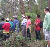 Boronia Tours - Yamba Accommodation