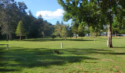 The Basin Picnic Area - Yamba Accommodation 1