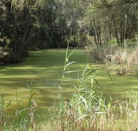 Second Ponds Creek walk - Yamba Accommodation
