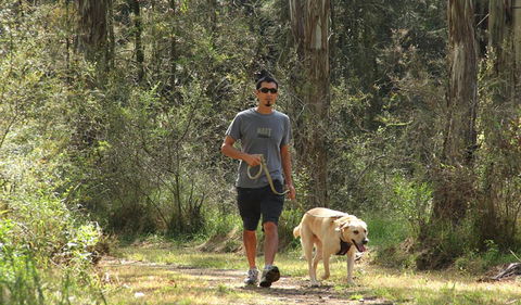 Second Ponds Creek Walk - Yamba Accommodation 3