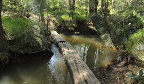 Second Ponds Creek Walk - Yamba Accommodation 2