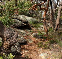 Box Head track - Yamba Accommodation