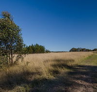 Scheyville horse riding trails - Yamba Accommodation