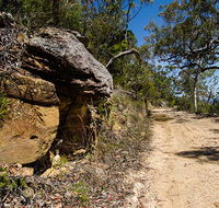 Canoelands Ridge walking track - Yamba Accommodation